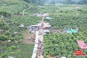 'Phát triển nông nghiệp xanh gắn với du lịch sinh thái