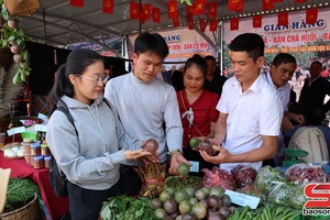 'Huổi Một chuyển dịch cơ cấu cây trồng