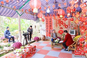 'STV mang xuân đến với khán giả