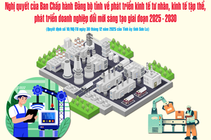 'Nghị quyết của Ban Chấp hành Đảng bộ tỉnh về phát triển kinh tế tư nhân, kinh tế tập thể, phát triển doanh nghiệp đổi mới sáng tạo giai đoạn 2025 - 2030