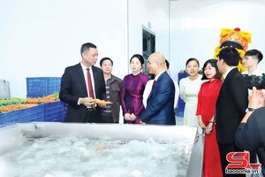 'Thu hút đầu tư “Đòn bẩy” đưa kinh tế Sơn La bứt phá