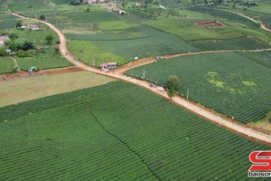 'Bình Thuận chuyển dịch cơ cấu kinh tế