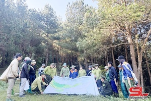 Xanh mãi những cánh rừng