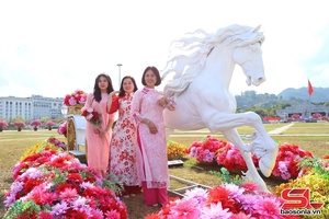 'Sơn La rực rỡ linh vật ngựa đón Tết Bính Ngọ 2026