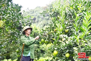 'Bảo đảm nguồn vốn cho vay tín dụng chính sách đến với nhân dân