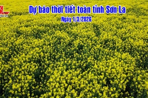 'Dự báo thời tiết toàn tỉnh Sơn La ngày1/3/2026