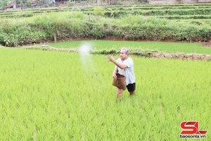 'Chủ động, tập trung sản xuất ngay từ đầu năm