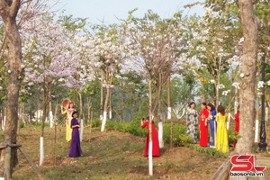 'Lửa ấm trong nhà