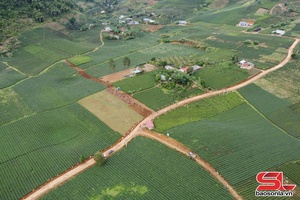 Đồng hành cùng nhân dân phát triển sản xuất