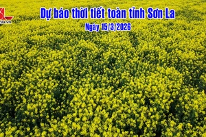 'Dự báo thời tiết toàn tỉnh Sơn La ngày 15/3/2026