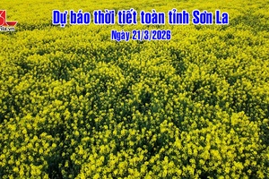 'Dự báo thời tiết toàn tỉnh Sơn La ngày 21/03/2026