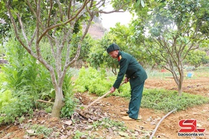 Giúp cựu chiến binh vươn lên làm giàu