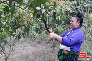 'Giúp phụ nữ phát triển kinh tế