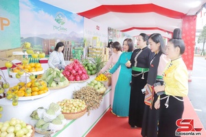 'Đẩy mạnh xúc tiến thương mại, xuất khẩu hàng hóa