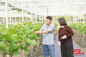 'Chủ động ứng phó với nắng nóng, hạn hán