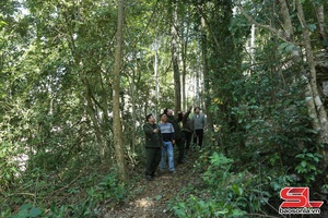 'Lóng Phiêng đẩy mạnh quản lý, bảo vệ rừng