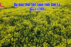 'Dự báo thời tiết toàn tỉnh Sơn La ngày 04/4/2026
