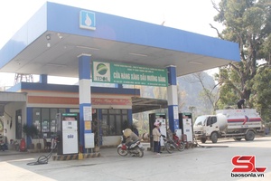 'Sẵn sàng chuyển đổi sử dụng xăng sinh học