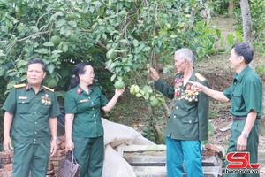 'Phát huy phẩm chất “Bộ đội Cụ Hồ”