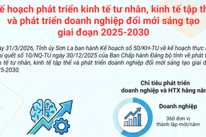 'Kế hoạch phát triển kinh tế tư nhân, kinh tế tập thể và phát triển doanh nghiệp đổi mới sáng tạo giai đoạn 2025-2030