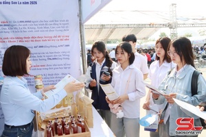 Kết nối việc làm cho lao động