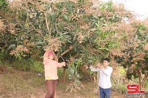 Đổi mới, nâng cao chất lượng hoạt động của Hội Nông dân