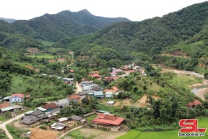 'Đảng viên tiên phong phát triển kinh tế