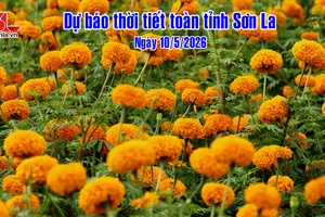 'Dự báo thời tiết toàn tỉnh Sơn La ngày 10/5/2026