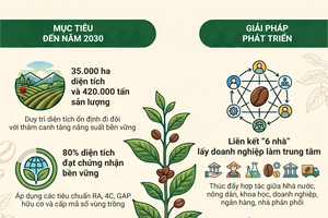 'Sản xuất, chế biến, tiêu thụ cà phê bền vững theo hướng sinh thái trên địa bàn tỉnh Sơn La đến năm 2030, định hướng đến năm 2035