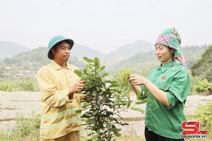 'Phát huy vai trò của Hội Nông dân trong phát triển kinh tế