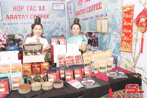 '“Vàng xanh” trên những vùng đồi Mường Chanh