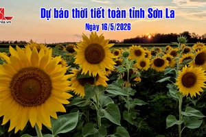 'Dự báo thời tiết toàn tỉnh Sơn La ngày 16/5/2026