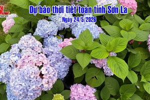 'Dự báo thời tiết toàn tỉnh Sơn La ngày 24/5/2026