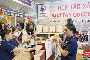 'Cà phê Arabica Sơn La phát triển theo chuỗi đa giá trị