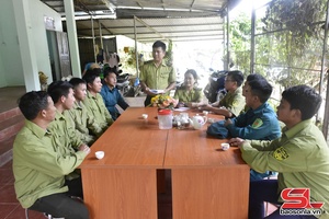 'Rừng xanh Suối Tọ