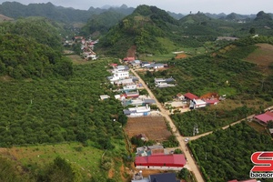 'Trái ngọt trên vùng đất Yên Sơn