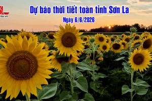 'Dự báo thời tiết toàn tỉnh Sơn La ngày 6/6/2026