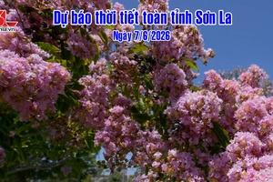 'Dự báo thời tiết toàn tỉnh Sơn La ngày 7/6/2026