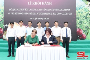 'Nông nghiệp hữu cơ - hướng đi bền vững cho nông dân vùng biên