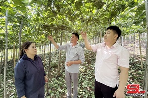 'Nguồn vốn ưu đãi tiếp sức cho kinh tế tập thể