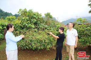 Điểm tựa giúp nông dân vươn lên làm giàu