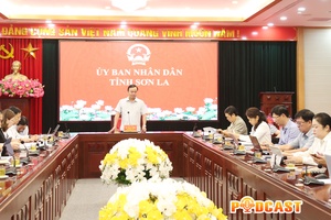 Bản tin Podcast ngày 12/6/2026
