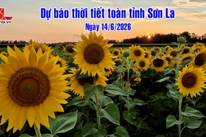 'Dự báo thời tiết toàn tỉnh Sơn La ngày 14/6/2026