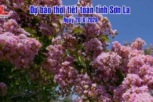 'Dự báo thời tiết toàn tỉnh Sơn La ngày 20/6/2026