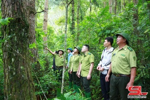 'Bảo vệ đa dạng sinh học Khu bảo tồn thiên nhiên