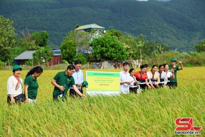 'Đoàn kết, đổi mới, phát huy vai trò nòng cốt trong phát triển kinh tế tập thể, hợp tác xã