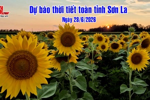 'Dự báo thời tiết toàn tỉnh Sơn La ngày 28/6/2026