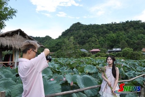 'Mùa sen ở bản Híp