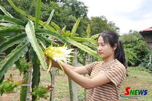 'Định hướng đúng, lãnh đạo phát triển kinh tế hiệu quả