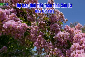 'Dự báo thời tiết toàn tỉnh Sơn La ngày 19/7/2026